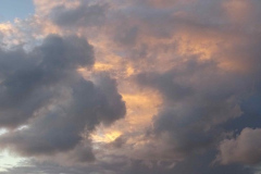 DSC03745