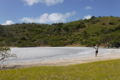DSCF2194