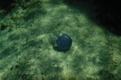 DSCF2302