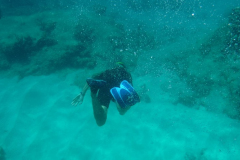 DSCF2309