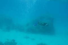 DSCF2314
