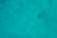 DSCF2317