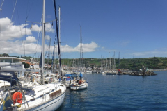 DSCF4086