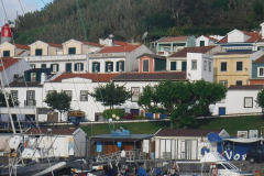 DSCF4114