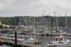 DSCF4116
