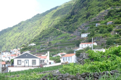 DSC04250
