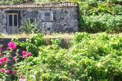 DSC04263