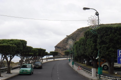 DSCF4228