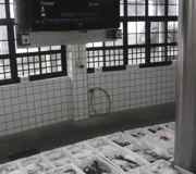 FischeHalle-sj