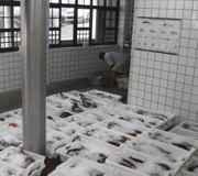 Fischehalle